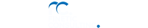 Finetic consulting